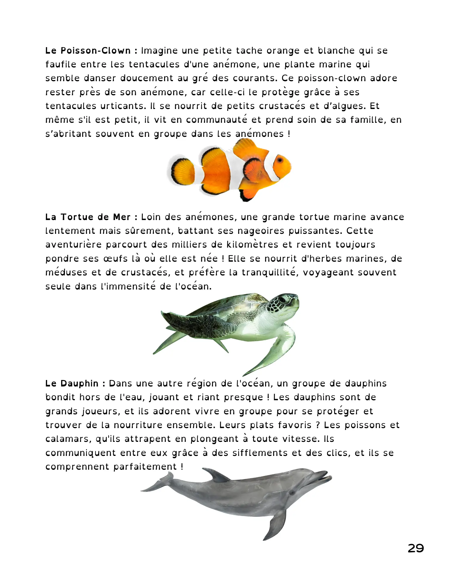 Page 29